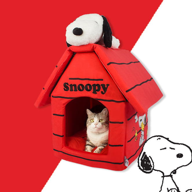 Kashima X Snoopy KASHIMA GROUP CO.