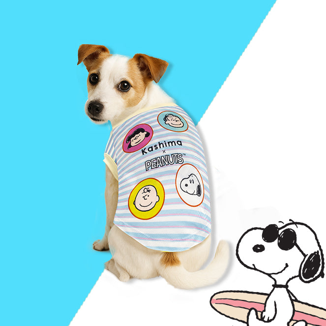 New arrivals KASHIMA GROUP CO.