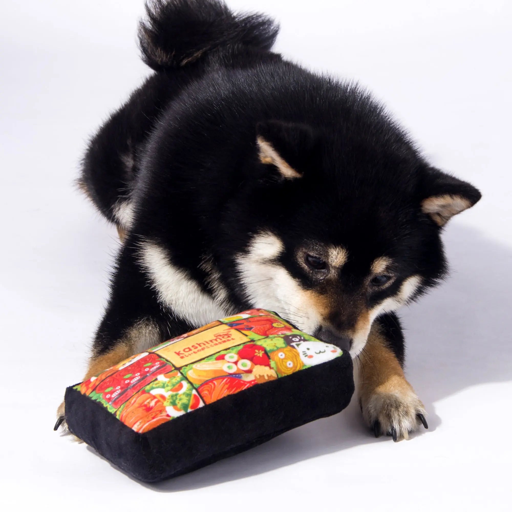 Kahima Lunch Box Shaped Toy kashimashop