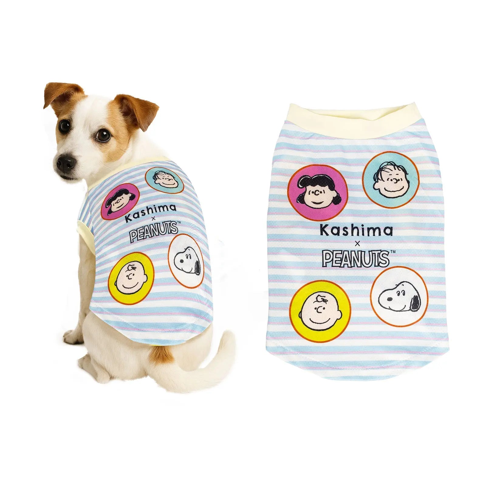 Kashima xPets Cool Clothes KashimaPet