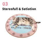 Kashima x Snoopy Snow Love Pure Ice Pad KashimaPet