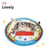 Kashima x Snoopy Champion Ice Pad KashimaPet