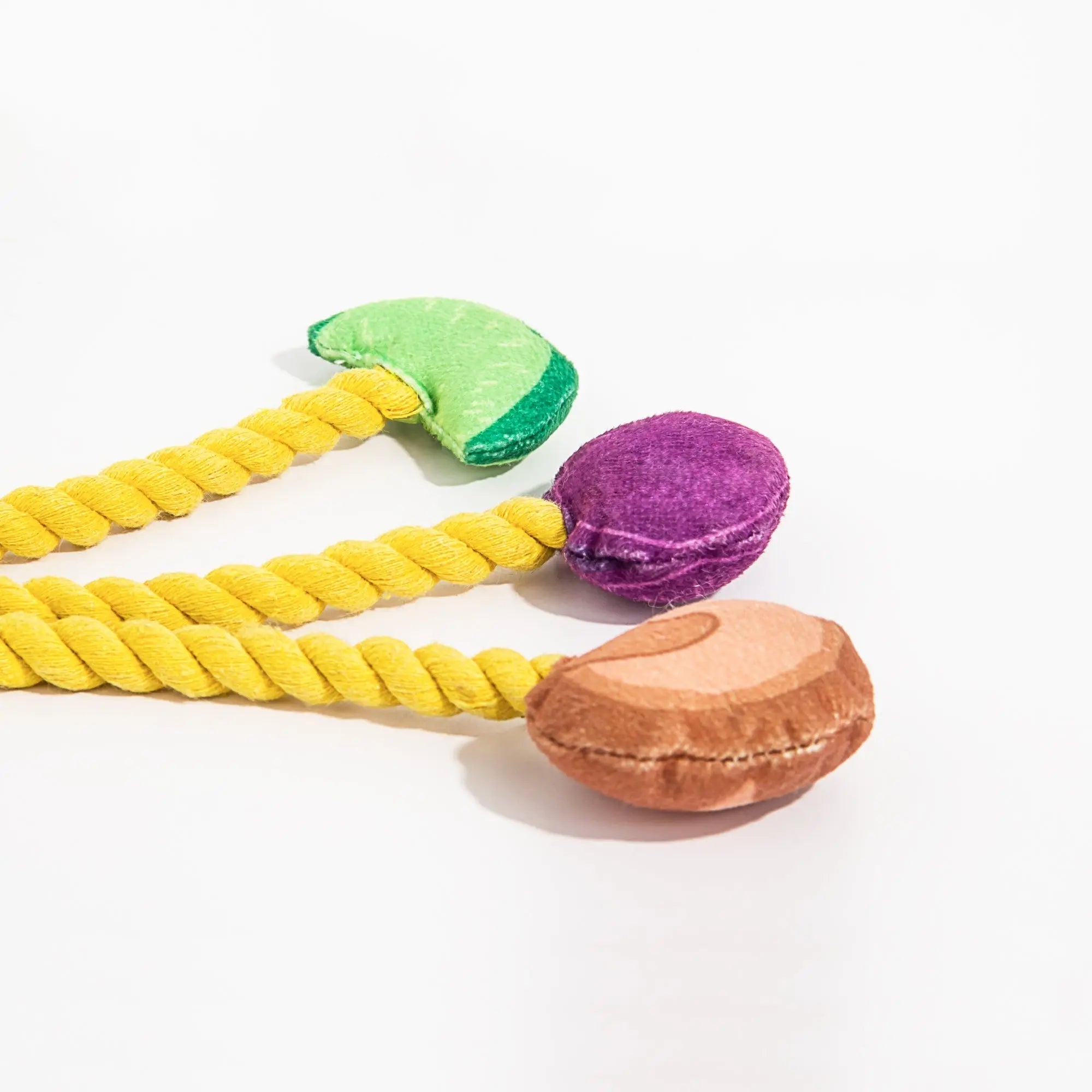 Kashima Fruit and Vegetable Chips Shaped Pet Toys kashimashop