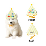 Kashima xPet Birthday Hat + Drool Towel KashimaPet