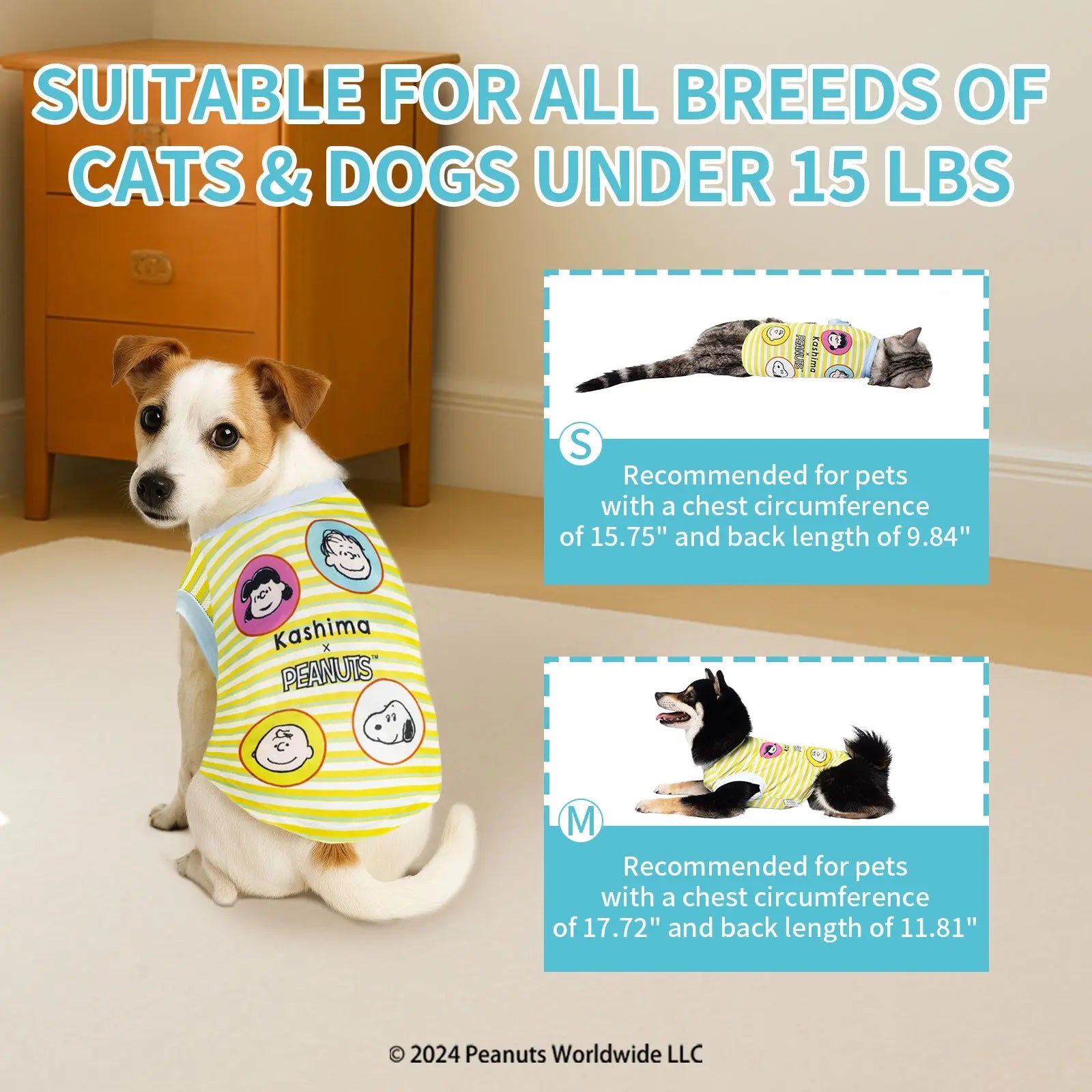 Kashima xPets Cool Clothes KashimaPet