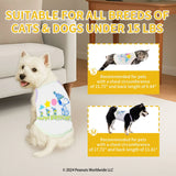 Kashima xPets Cool Clothes KashimaPet