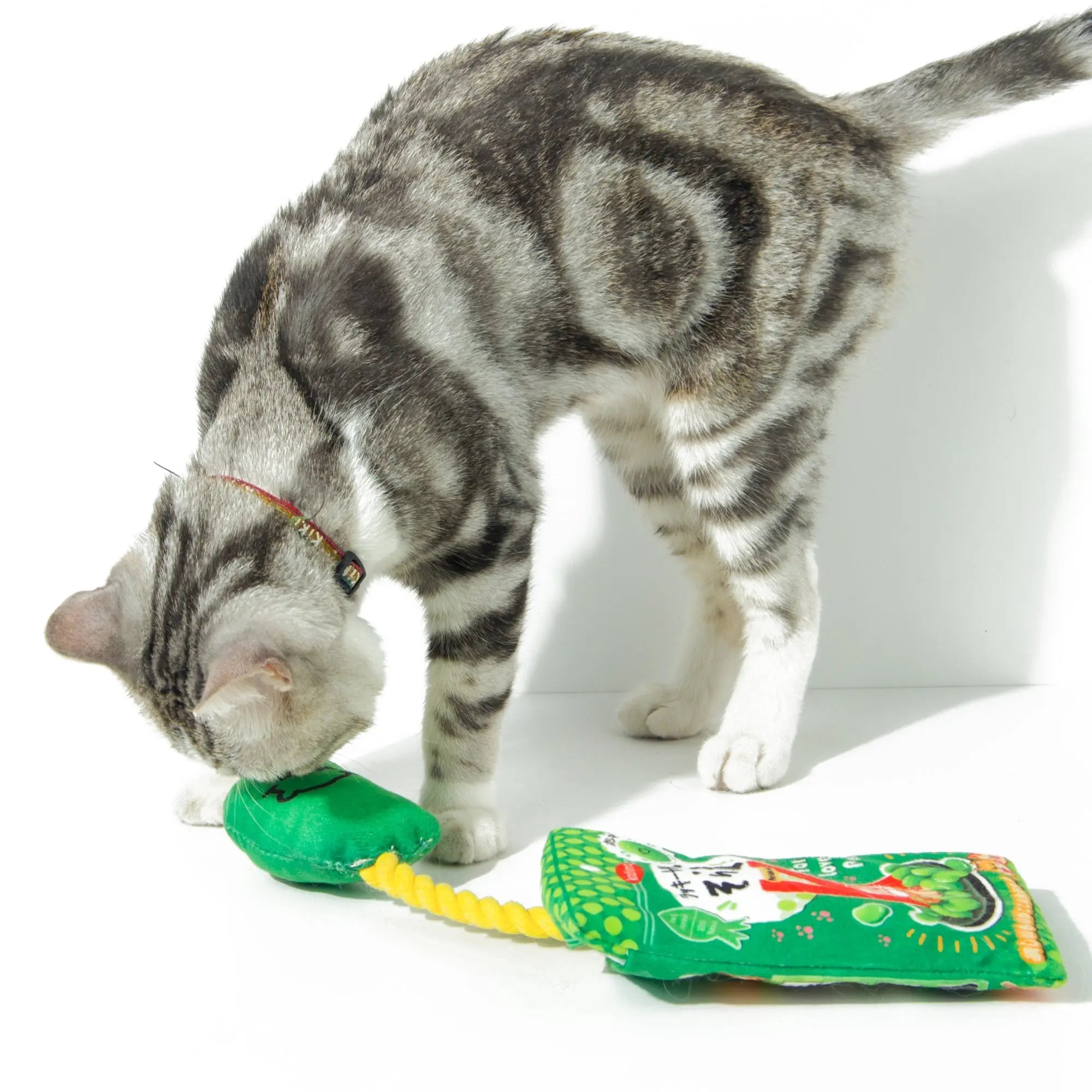 Kashima Japanese Bean and Biscuits Shaped Toy kashimashop