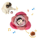 Kashima X Snoopy Cauliflower Toys KashimaPet