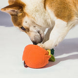 Kashima Ugly Orange Shaped Pet Chew Toy kashimashop