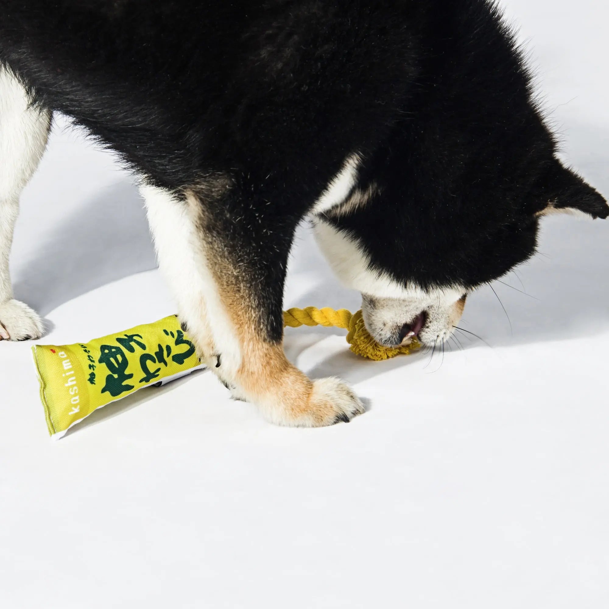 Kashima Japanese Sauce Shaped Pet Chew Toys kashimashop