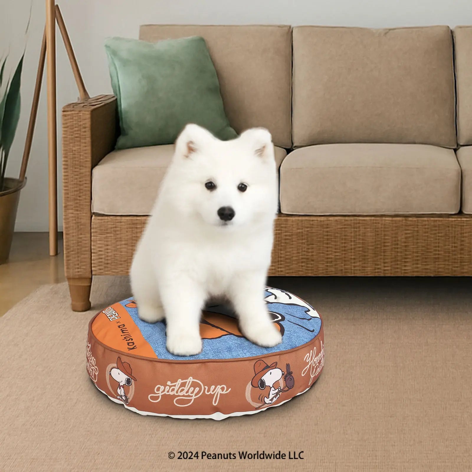 Kashima xCake. Den KashimaPet