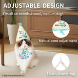 Kashima xPet Birthday Hat + Drool Towel KashimaPet