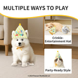 Kashima xPet Birthday Hat + Drool Towel KashimaPet