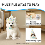 Kashima xPet Birthday Hat + Drool Towel KashimaPet