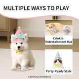 Kashima xPet Birthday Hat + Drool Towel KashimaPet