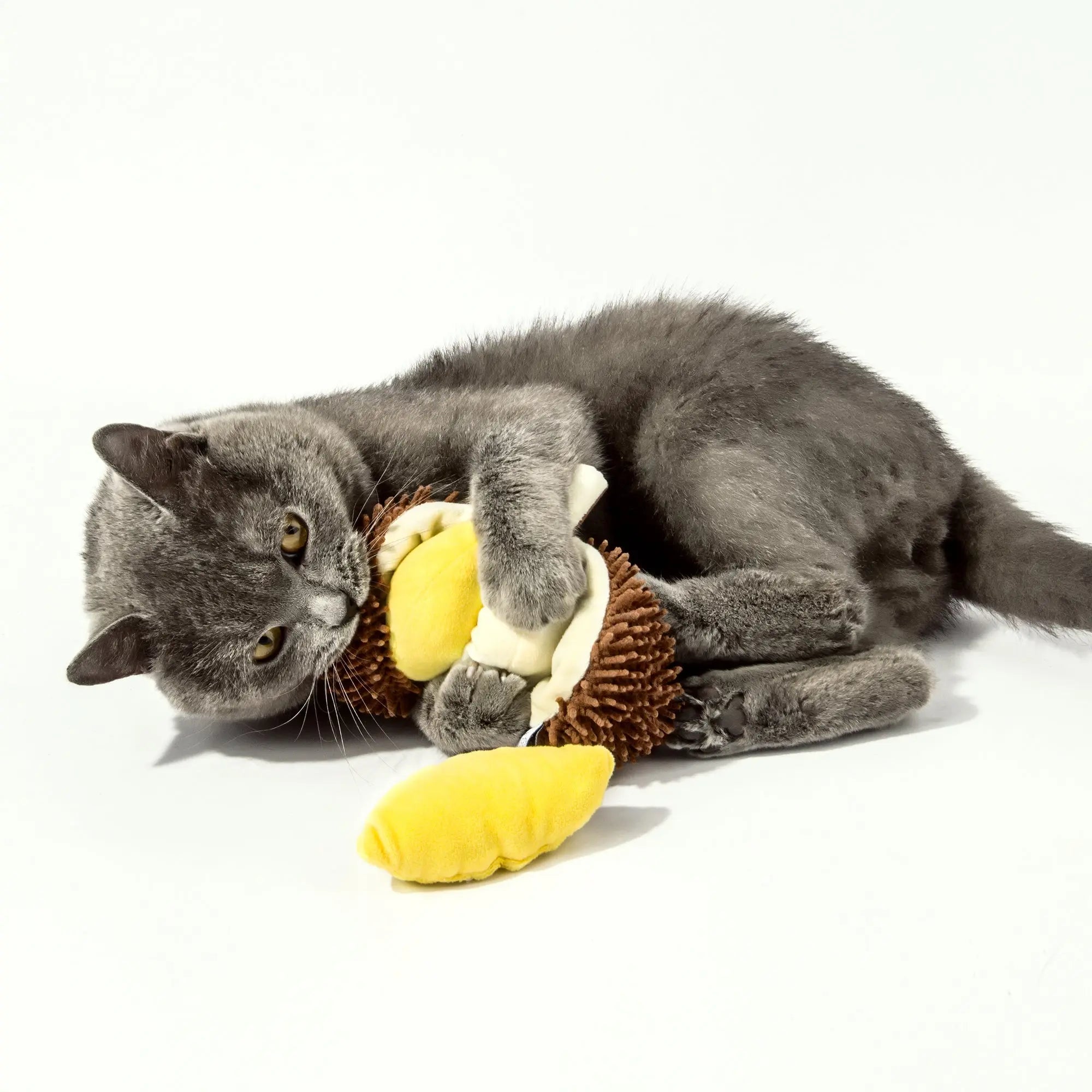 Kashima Durian Shaped Pet Toy Including Catnips kashimashop