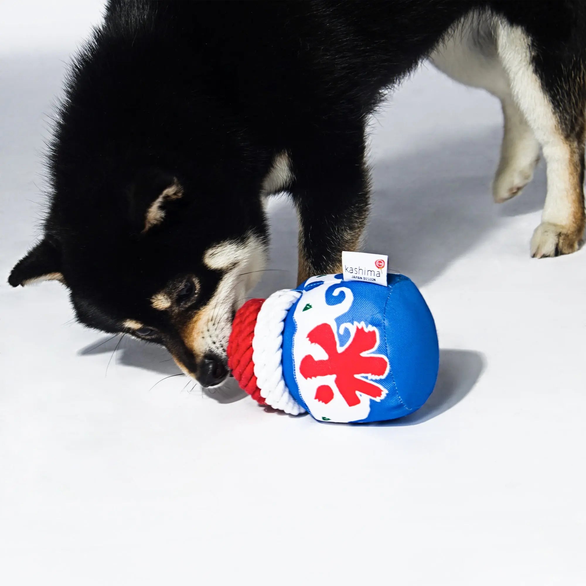 Kashima Water Ice Shaped Dog Toys kashimashop