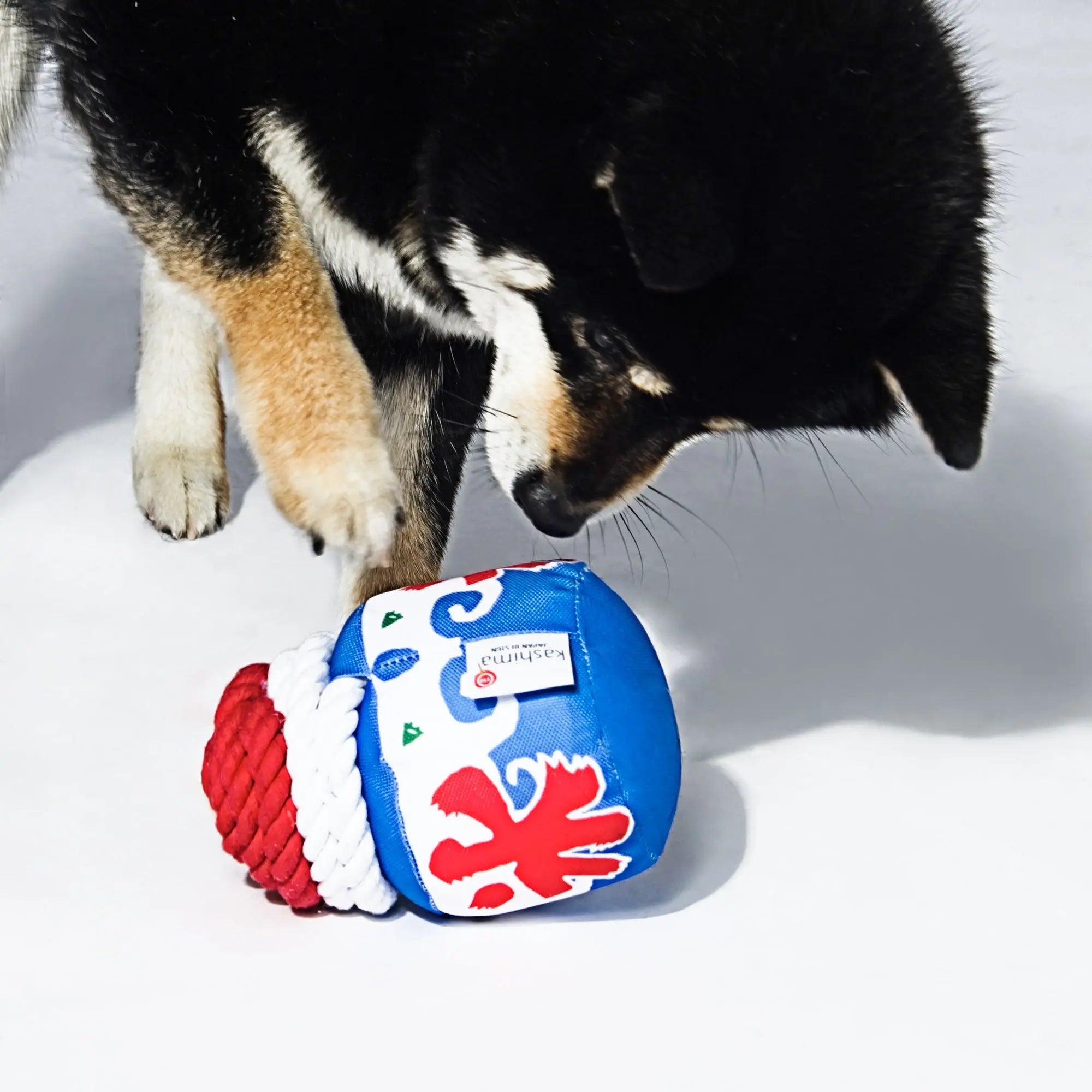 Kashima Water Ice Shaped Dog Toys kashimashop