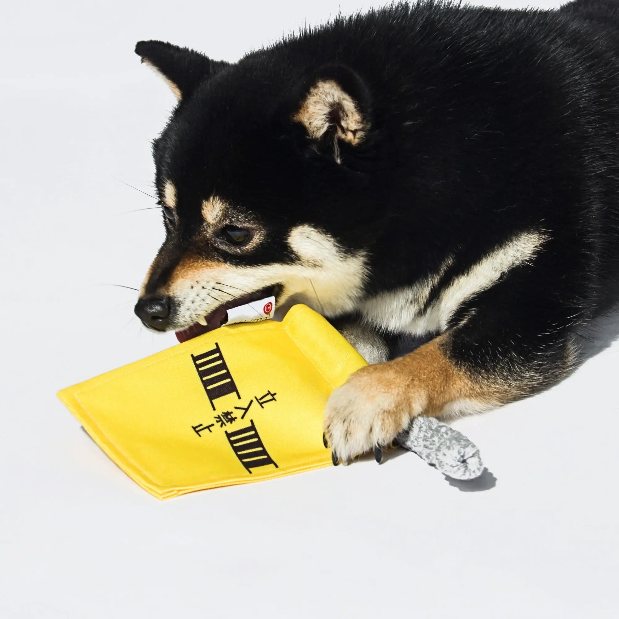 Kashima Flag Shaped Dog Bite Toy kashimashop