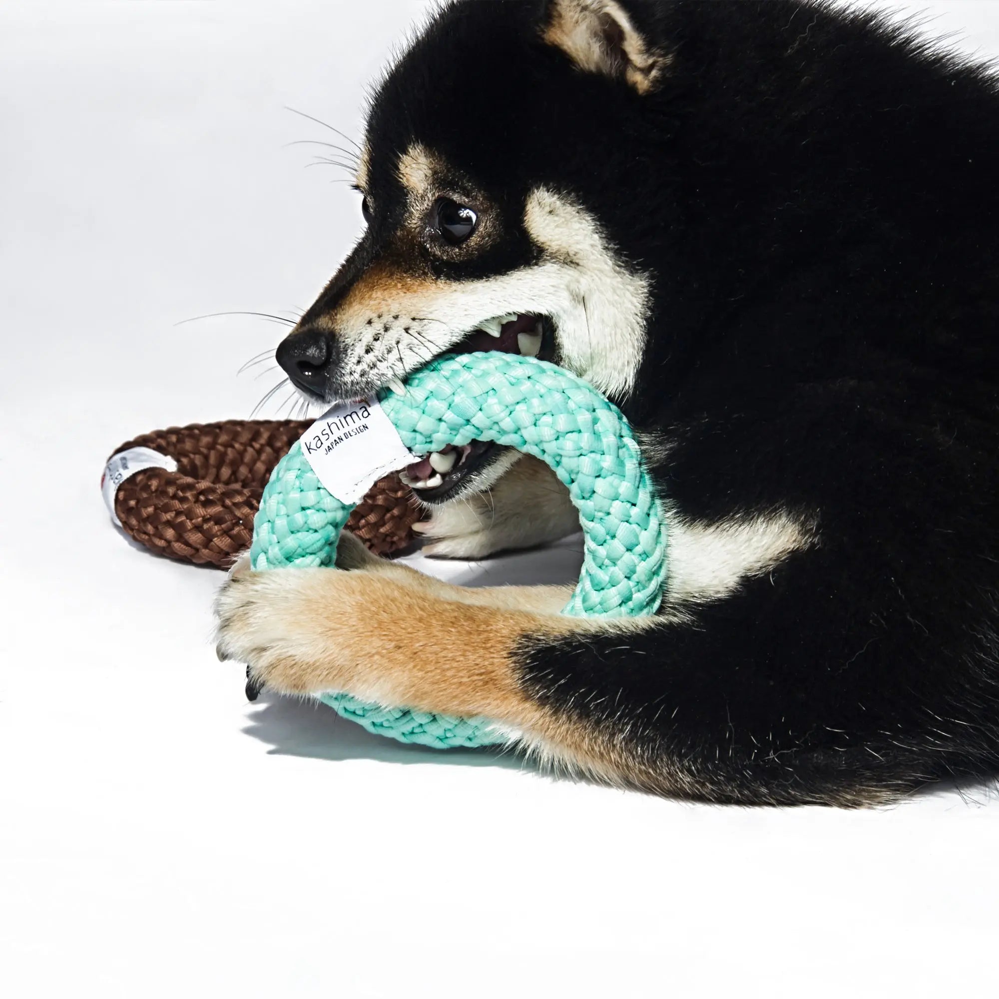 Kashima Donut Shaped Pet Chew Toy kashimashop