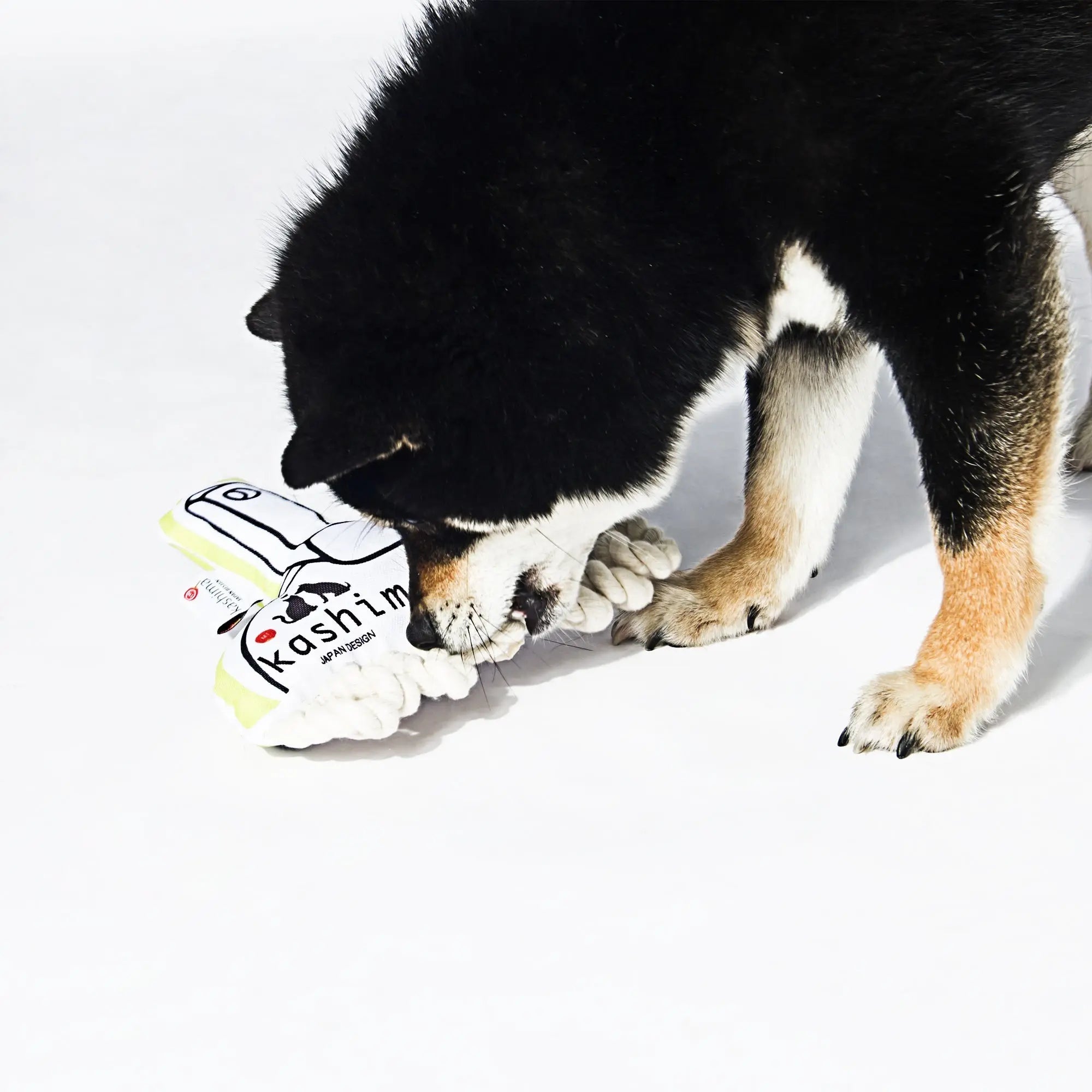 Kashima Cleaning Tool Series Pet Toys kashimashop