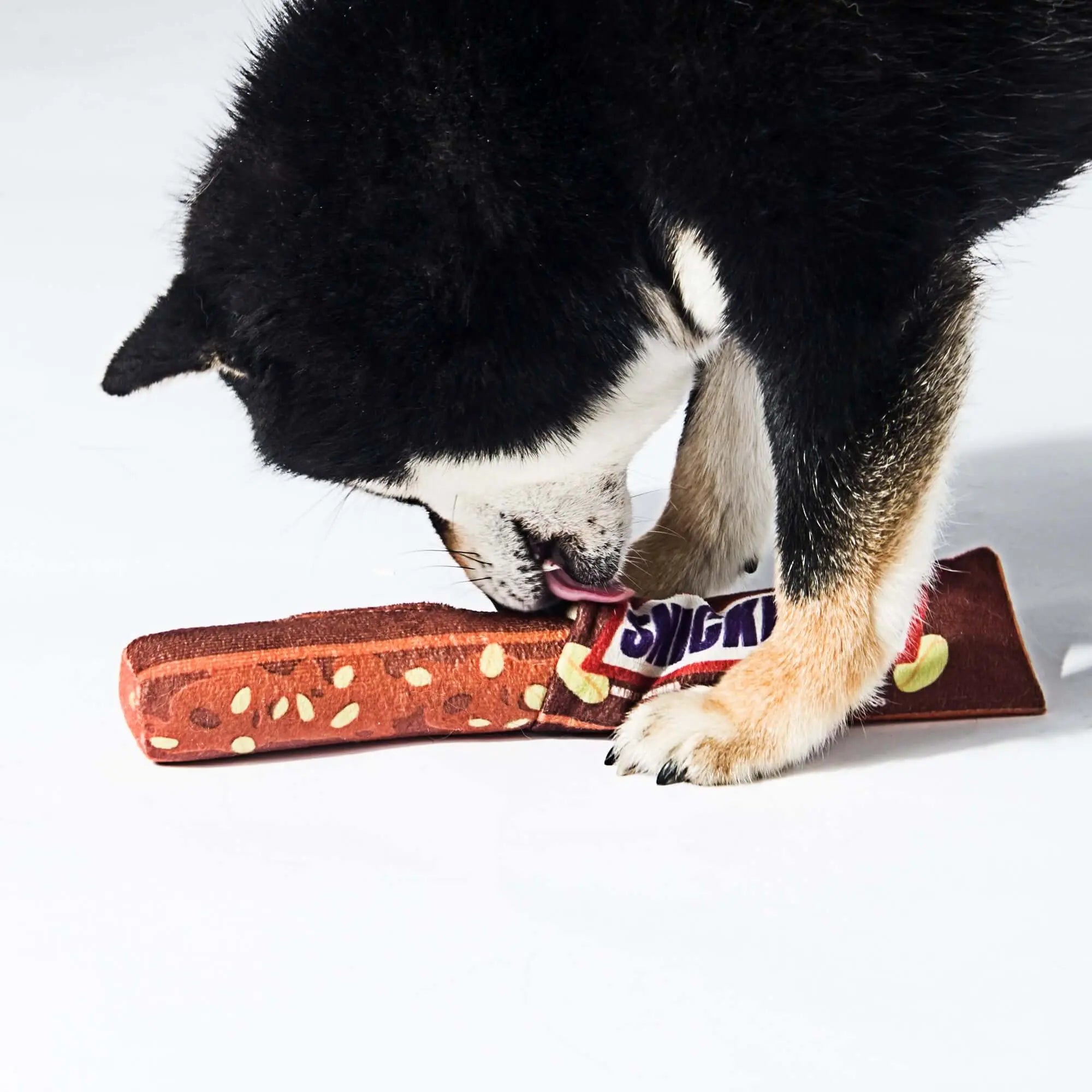 Kashima Energy Bar Patterned Squeaky Pet Toys kashimashop