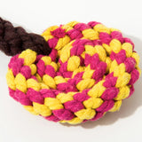 Kashima Lollipop Shaped Pet Bitten Toy kashimashop