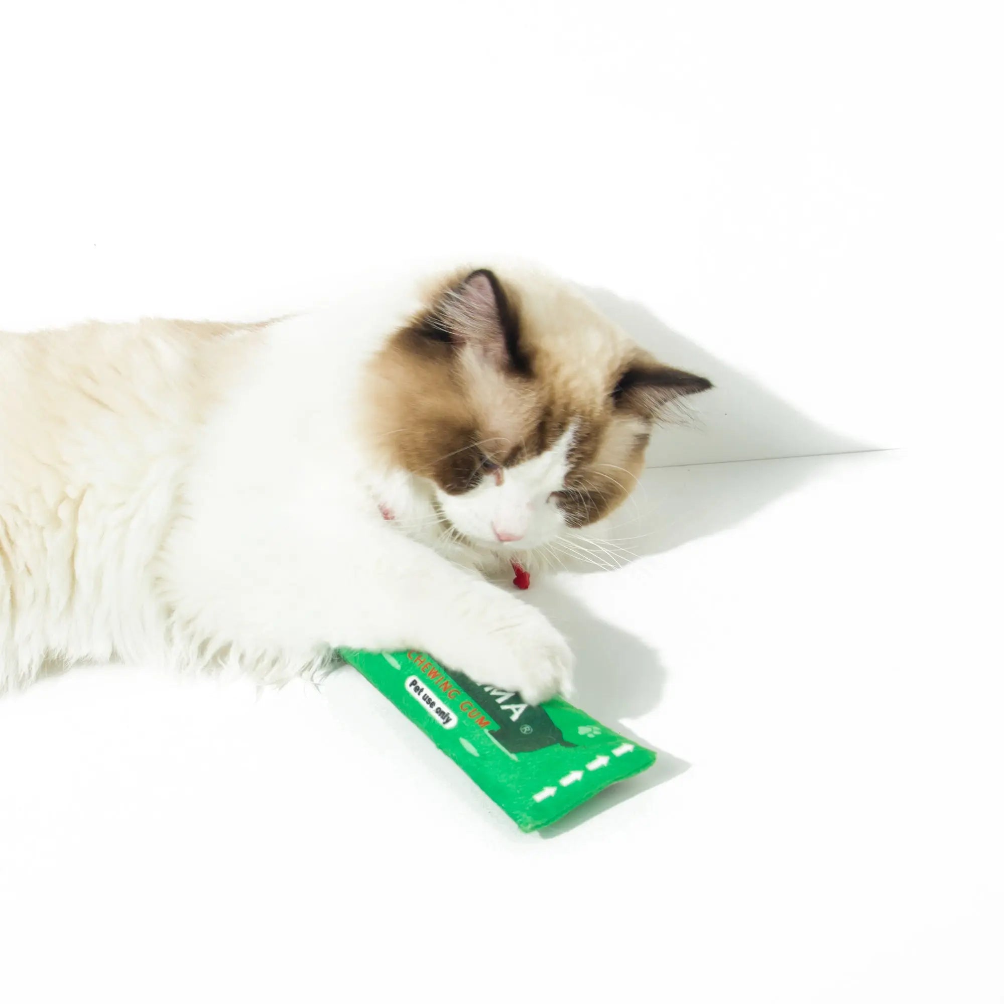 Kashima Chewing Gum Shaped Pet Toy with Catnips kashimashop