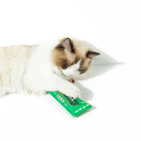 Kashima Chewing Gum Shaped Pet Toy with Catnips kashimashop