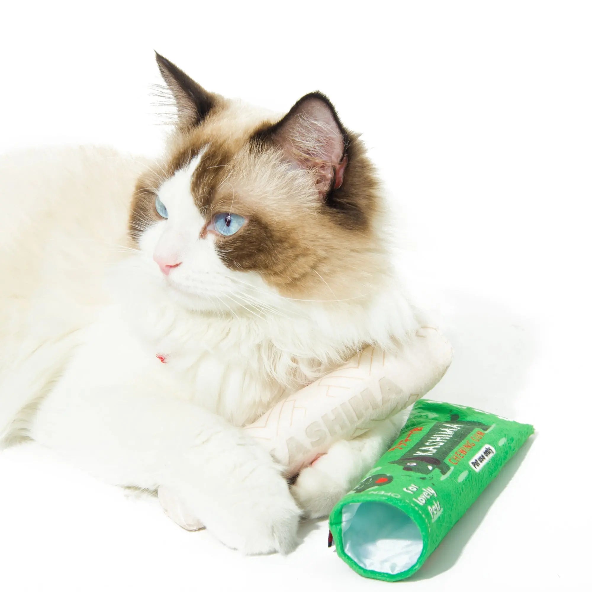 Kashima Chewing Gum Shaped Pet Toy with Catnips kashimashop