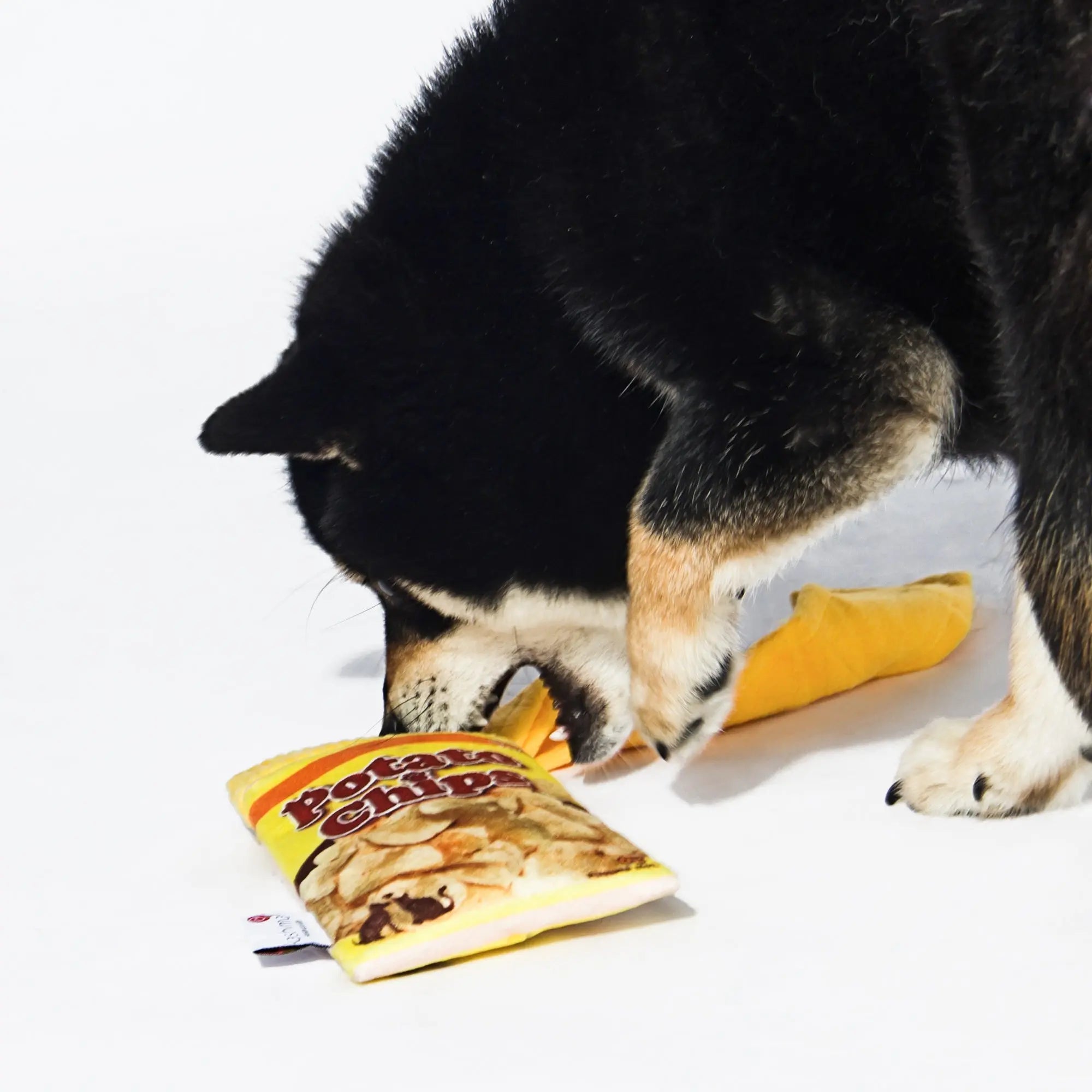 Kashima Chips Shaped Pet Hidden Food Toy kashimashop