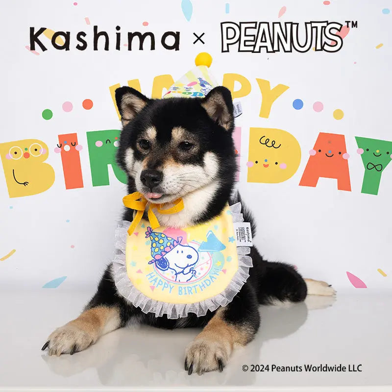 Kashima X Snoopy Birthday Hat Toy KashimaPet