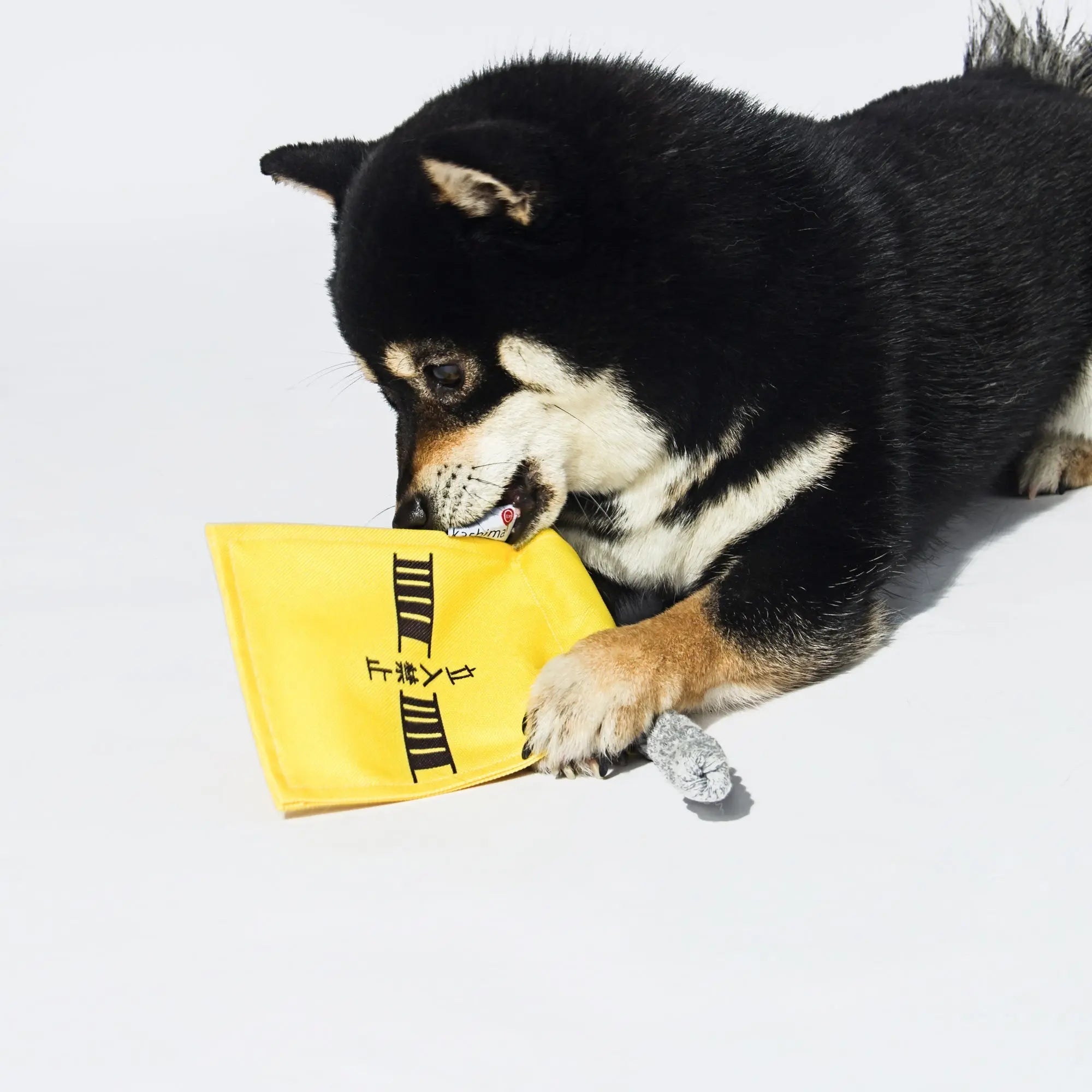 Kashima Flag Shaped Dog Bite Toy kashimashop