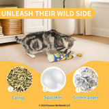 Kashima X Snoopy Potato Chip Toy KashimaPet