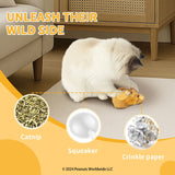 Kashima X Snoopy Cauliflower Toys KashimaPet