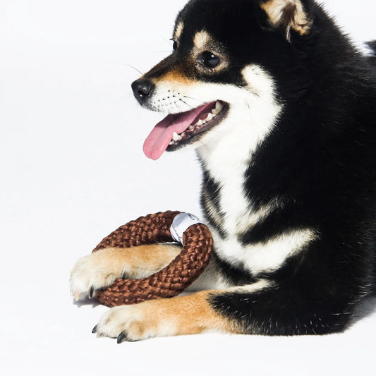 Kashima Donut Shaped Pet Chew Toy kashimashop