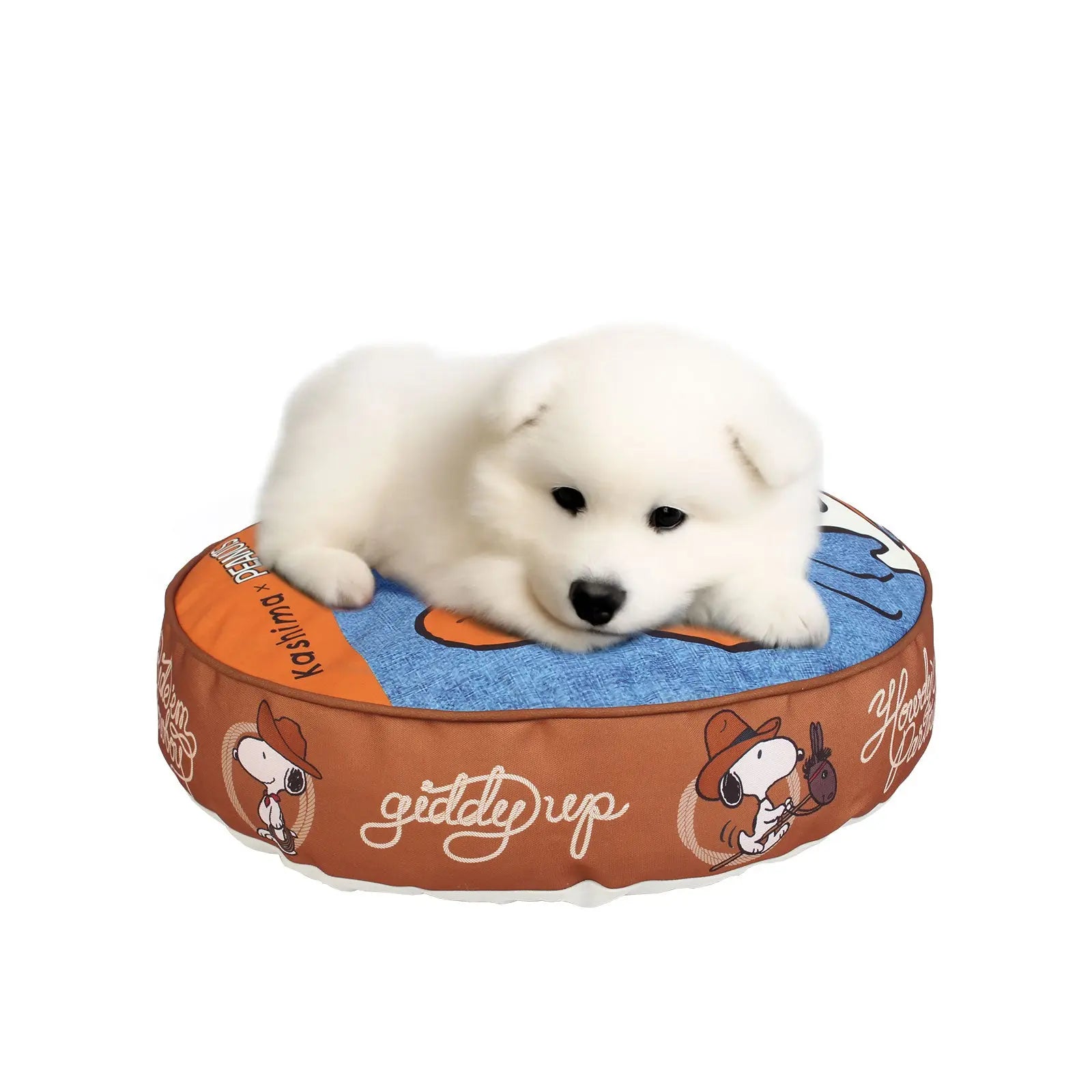 Kashima xCake. Den KashimaPet