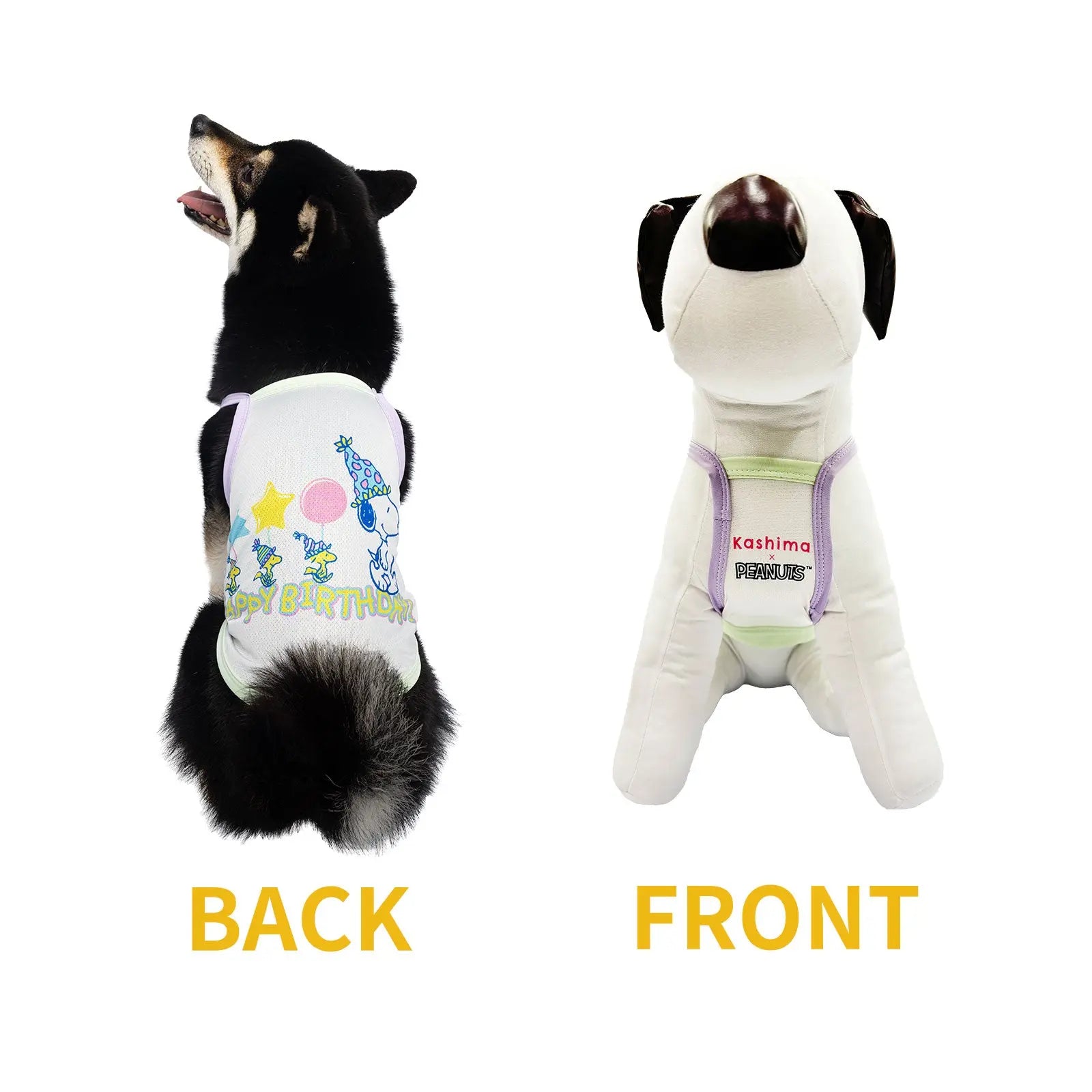 Kashima xPets Cool Clothes KashimaPet