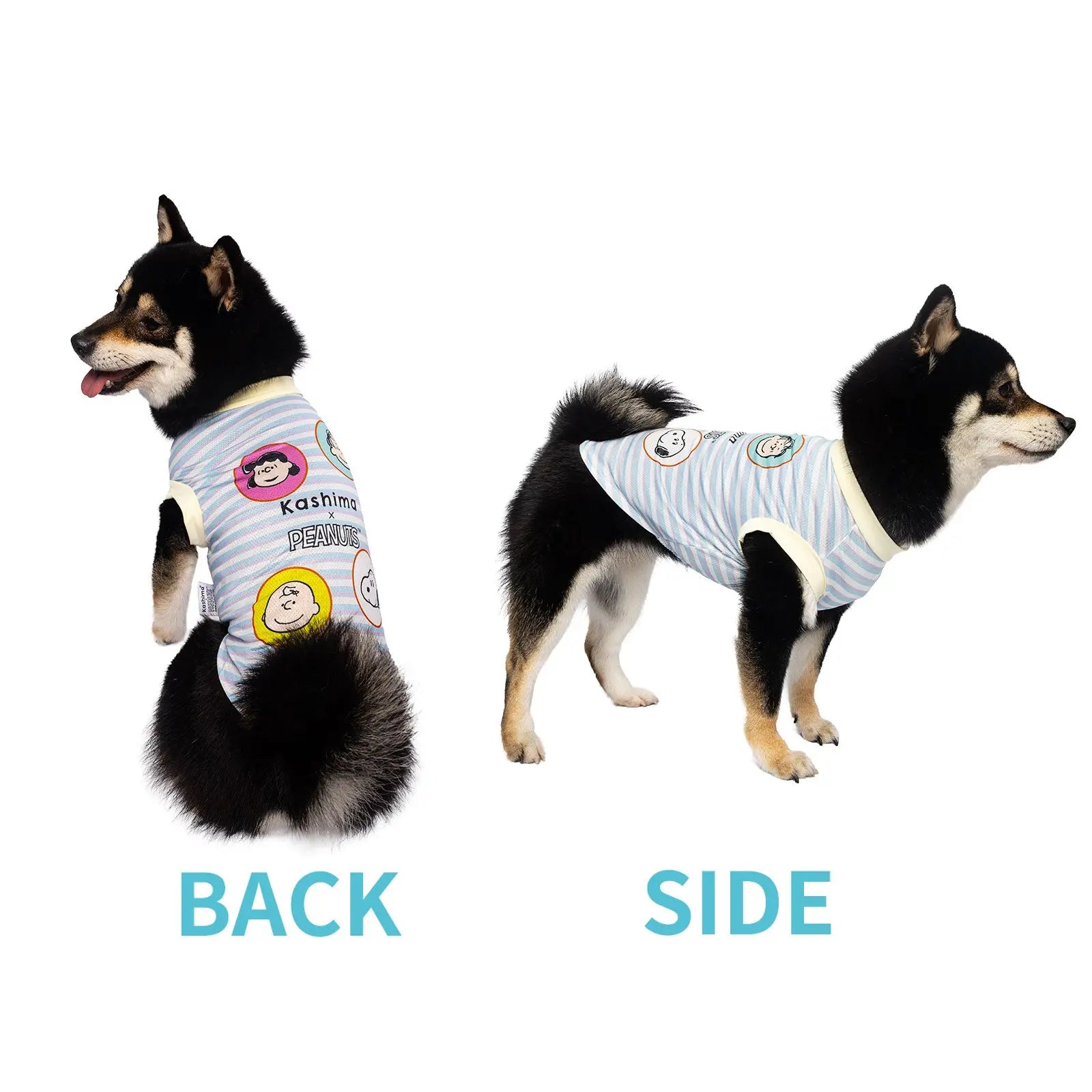 Kashima xPets Cool Clothes KashimaPet