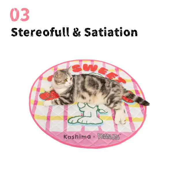 Kashima x Snoopy Strawberry Plaid Ice Pad KashimaPet