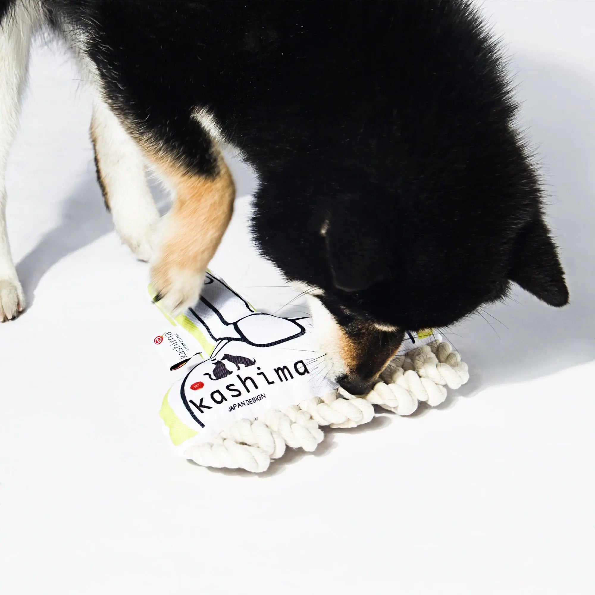 Kashima Cleaning Tool Series Pet Toys kashimashop