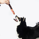 Kashima Lollipop Shaped Pet Bitten Toy kashimashop