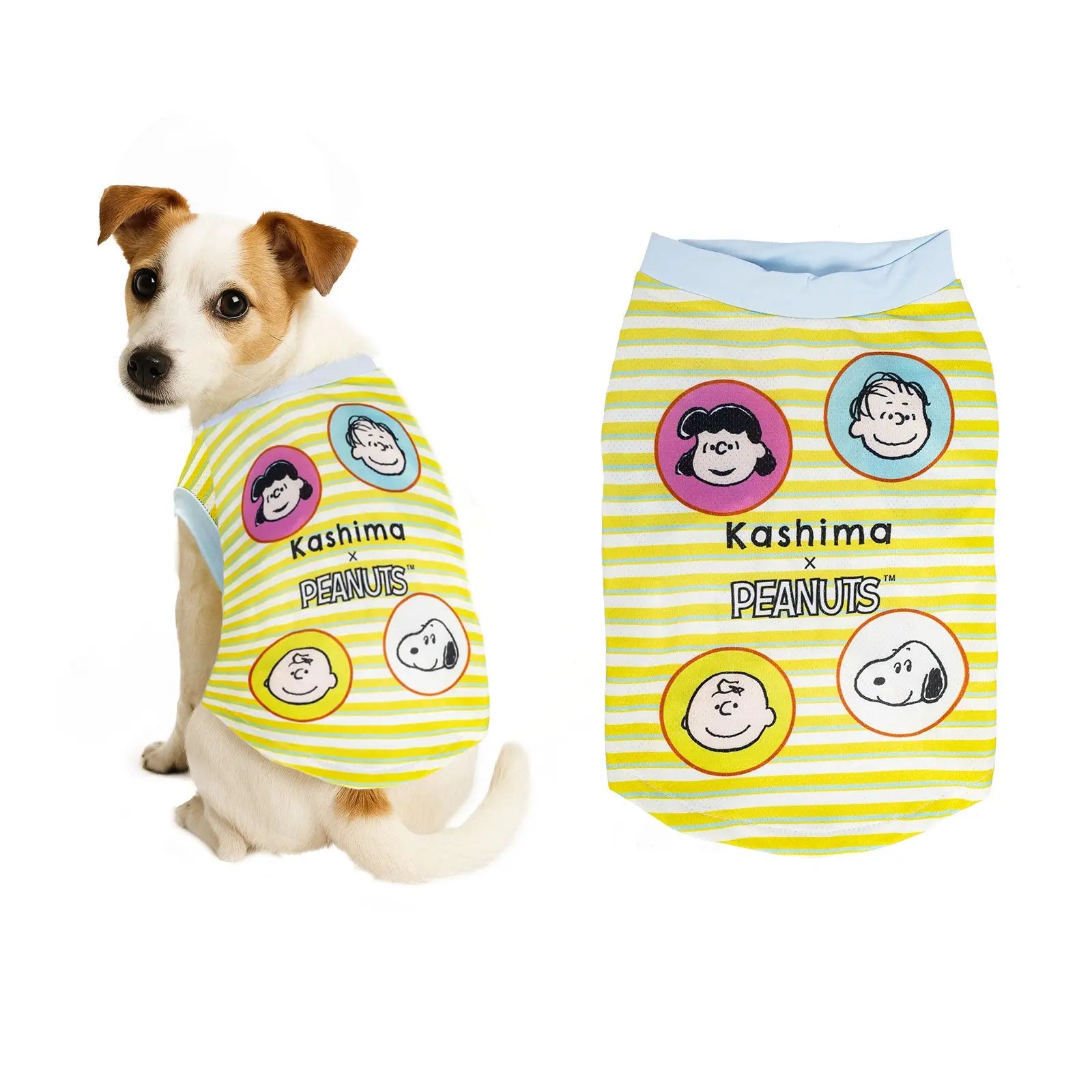 Kashima xPets Cool Clothes KashimaPet