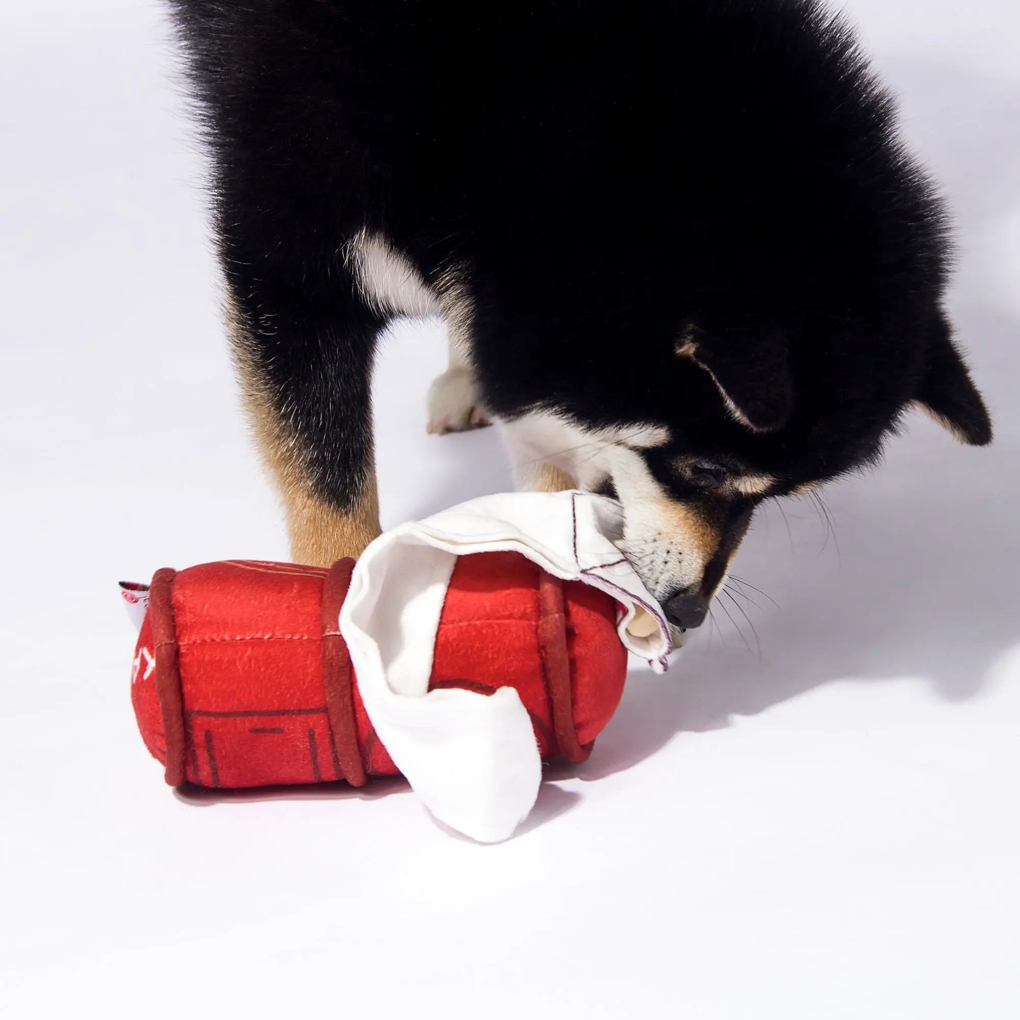 Kashima Mailbox Shaped Pet Toy kashimashop