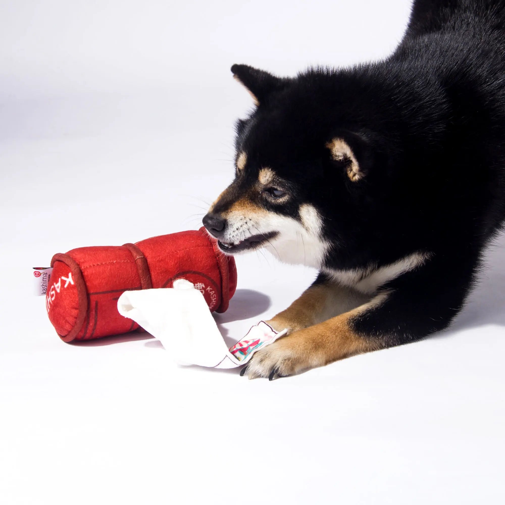 Kashima Mailbox Shaped Pet Toy kashimashop