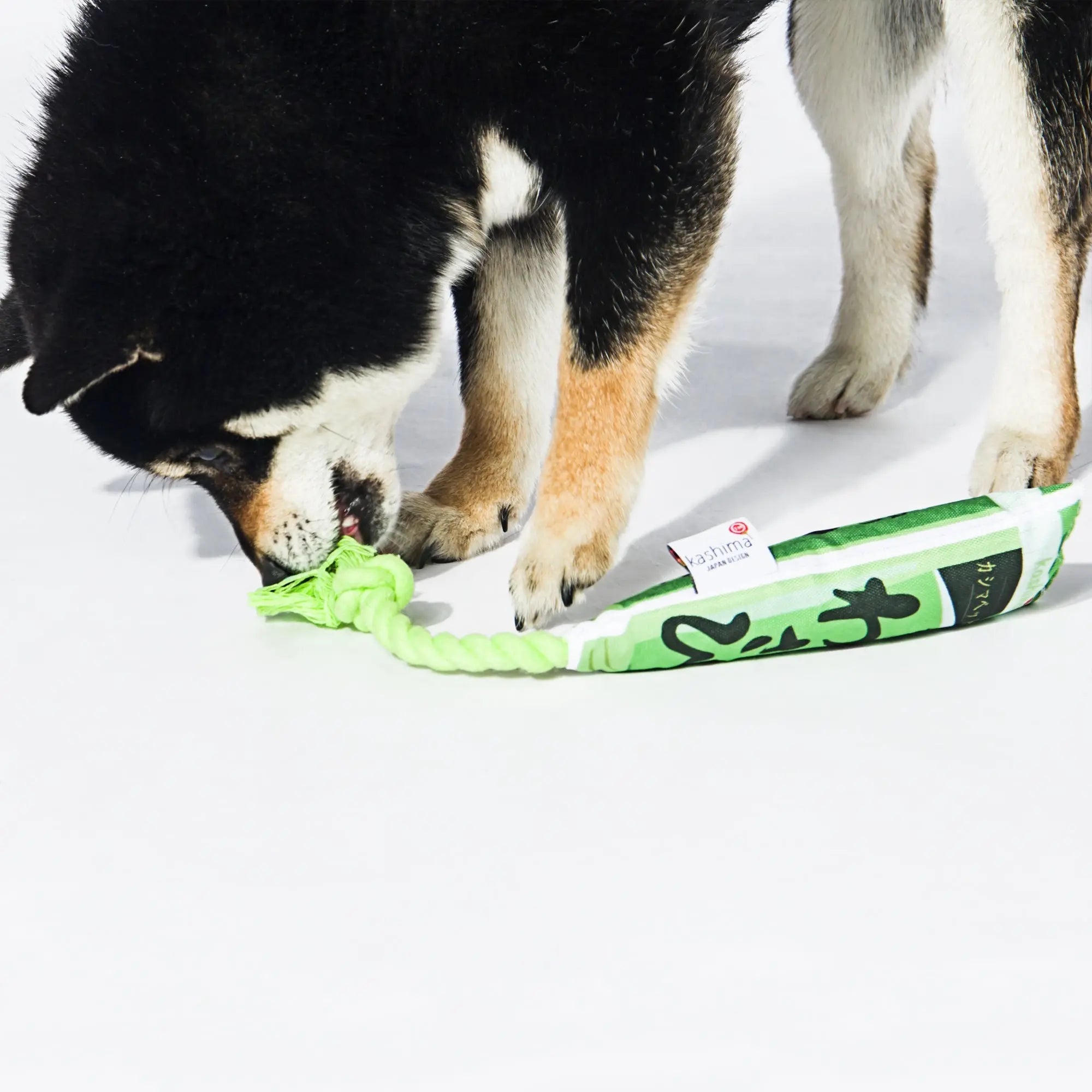 Kashima Japanese Sauce Shaped Pet Chew Toys kashimashop