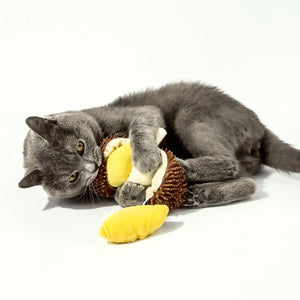 Kashima Durian Shaped Pet Toy Including Catnips kashimashop