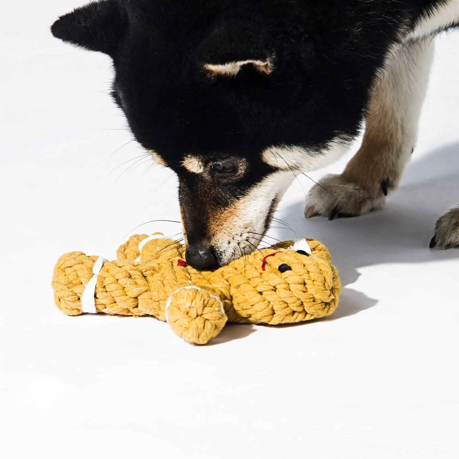 Kashima Gingerbread Man Shaped Dog Pets kashimashop