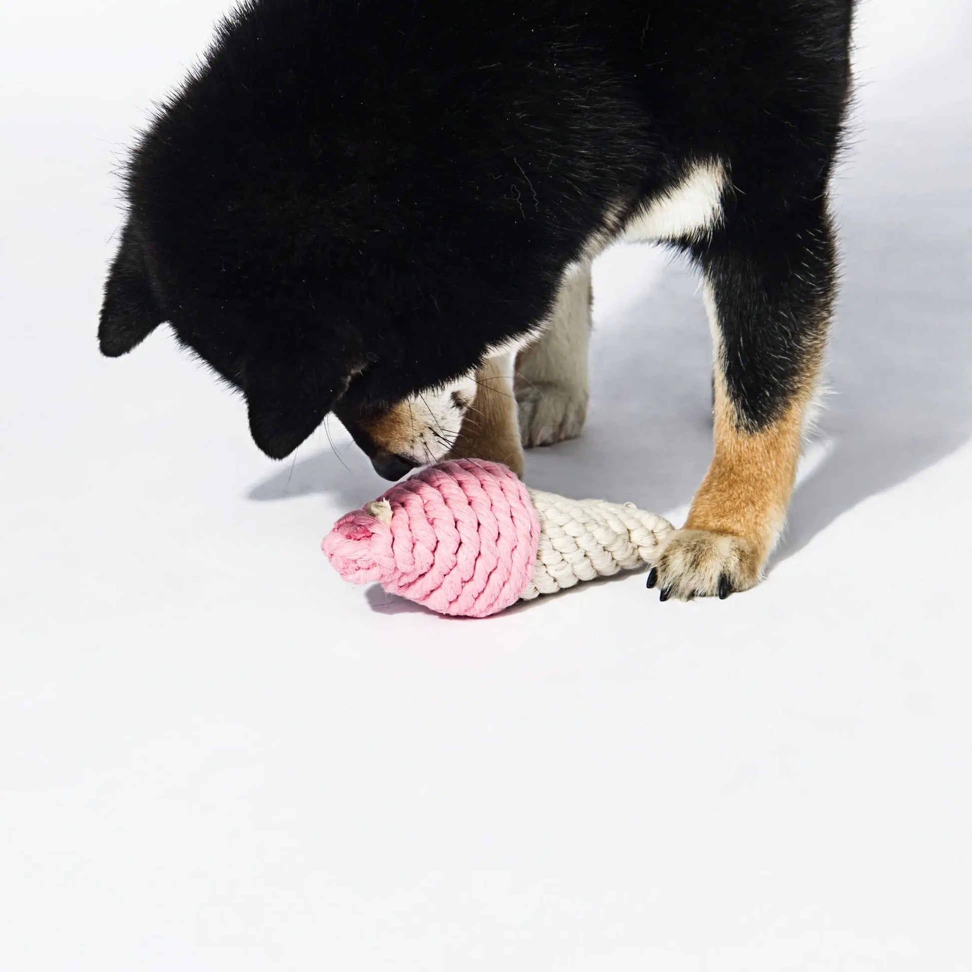 Kashima Ice Cone Shaped Pet Bitten Toys kashimashop