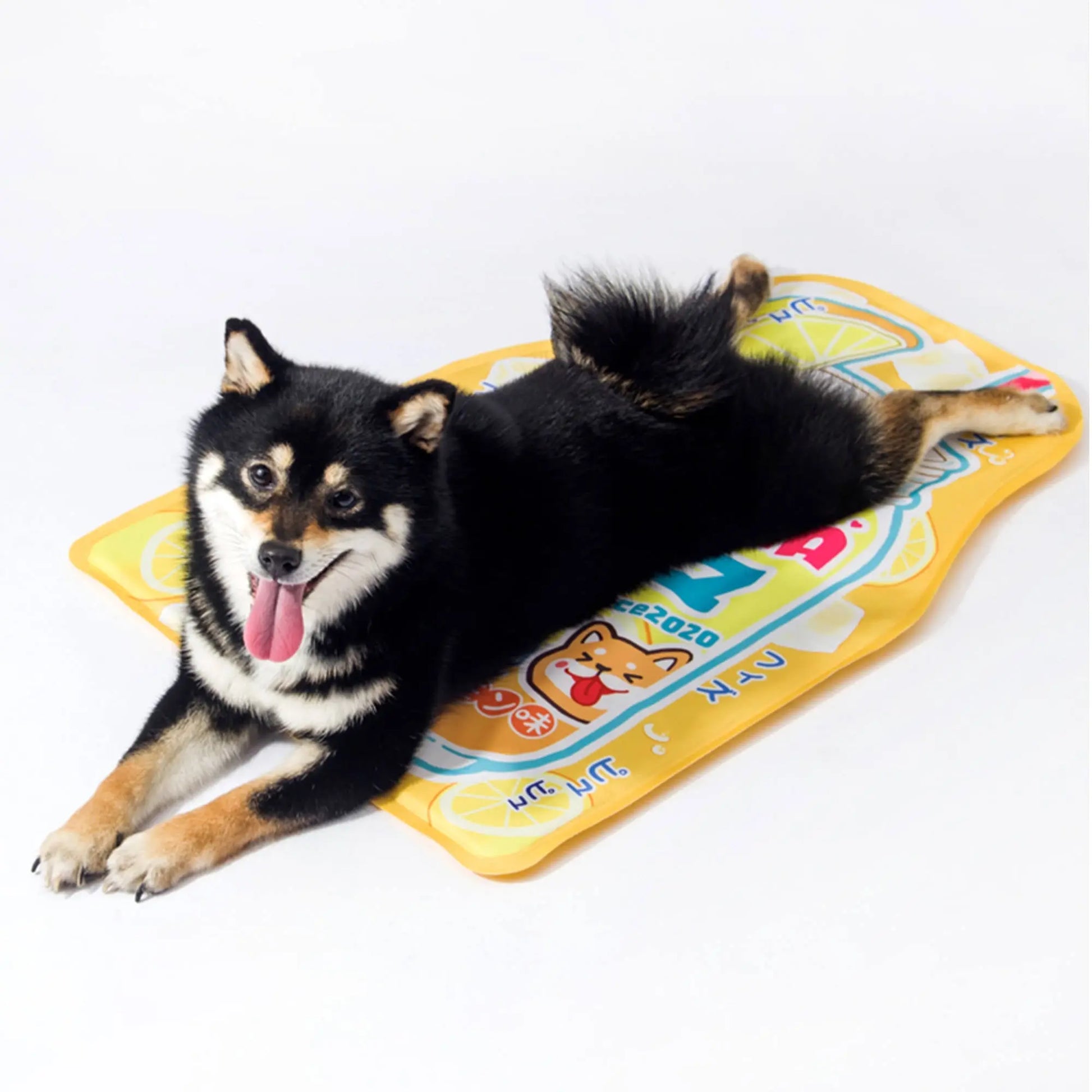 Kashima Soda Water Shaped Pet Ice Mat kashimashop